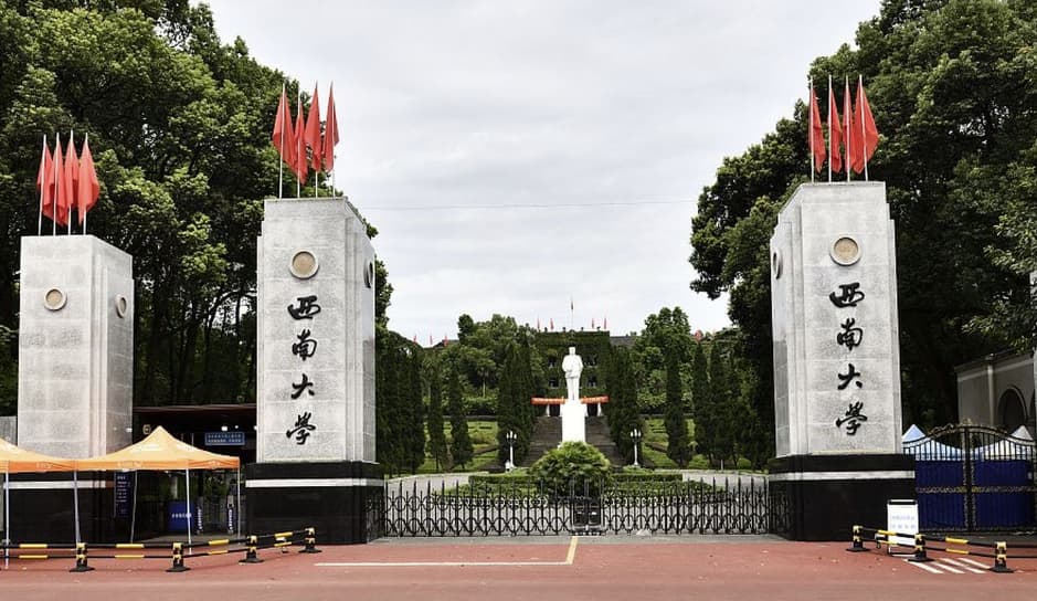 考研英语二单词怎么复习_考研英语二如何背单词