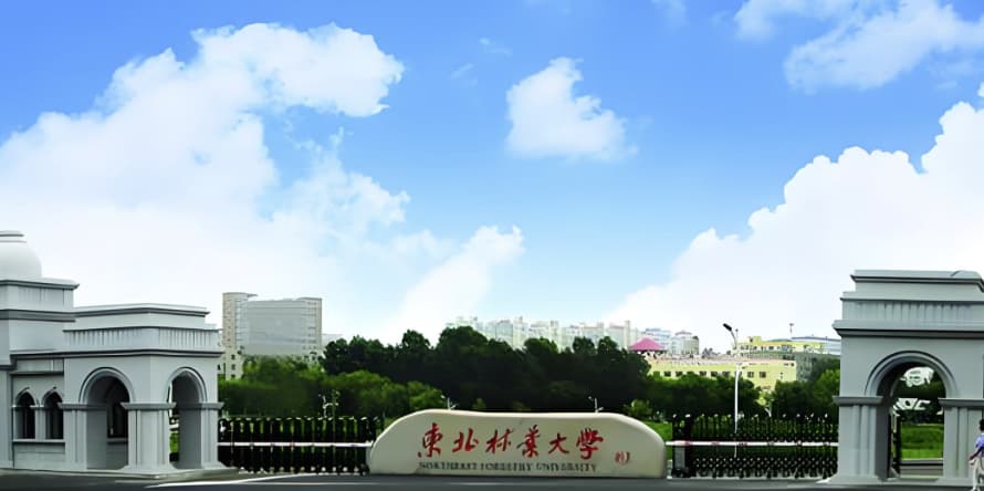 怎么安慰鼓励考研的同学_怎样安慰考研的学生