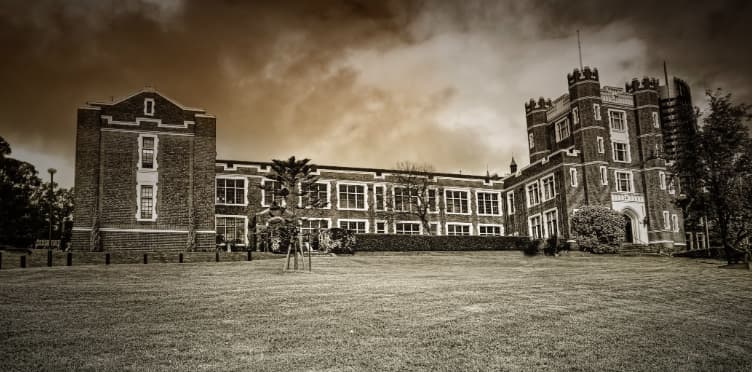 自考本科考研录取率